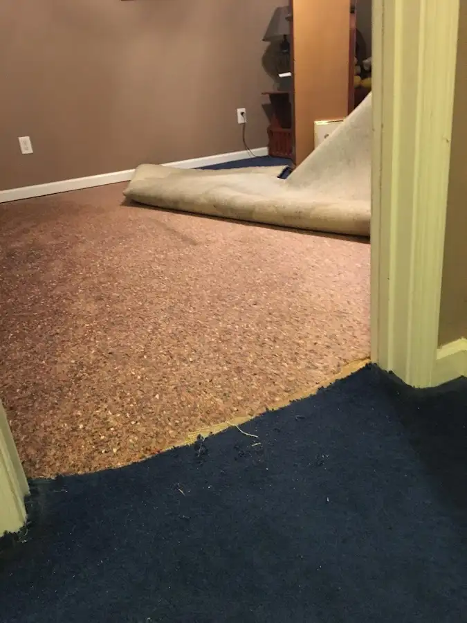 Carpet pad removal revealing water damage during Drying & Dehumidification in Goulds
