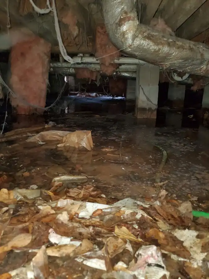 Crawl space flood assessment for Commercial Water Damage Restoration in Goulds