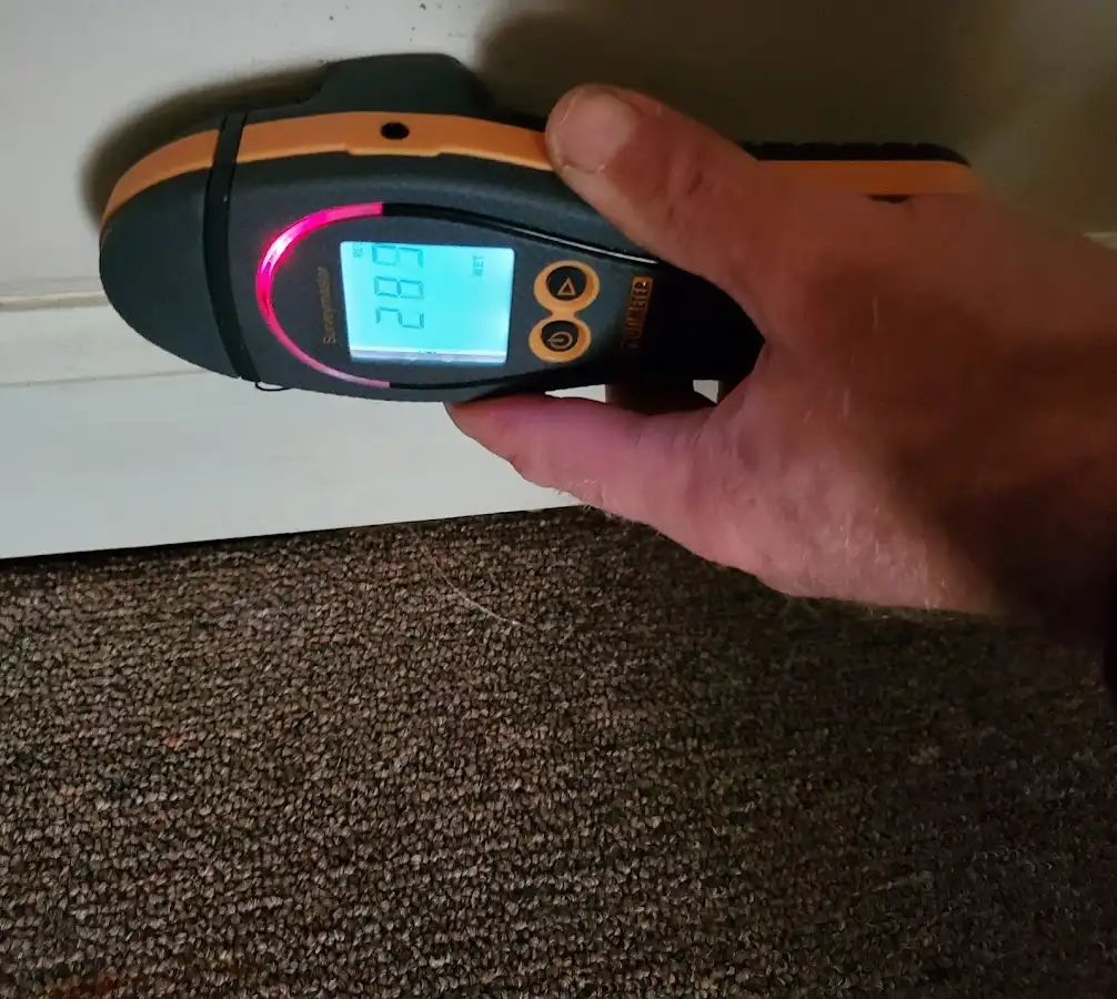 Moisture detection at baseboard during Mold Inspection & Testing in Goulds